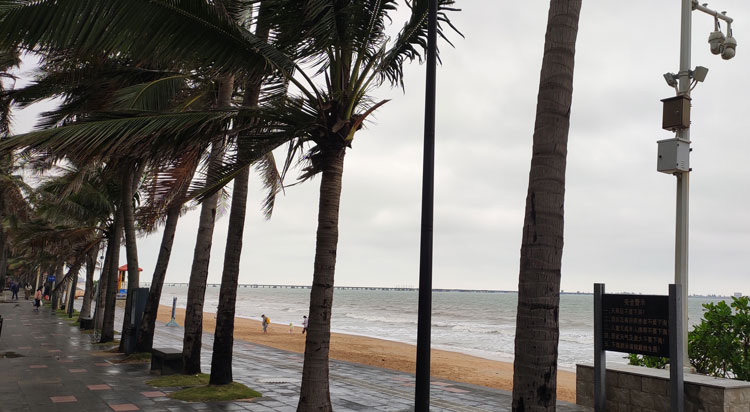 617762854189a.jpg 2.jpg